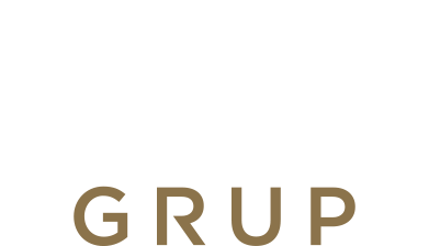 Vien Grup